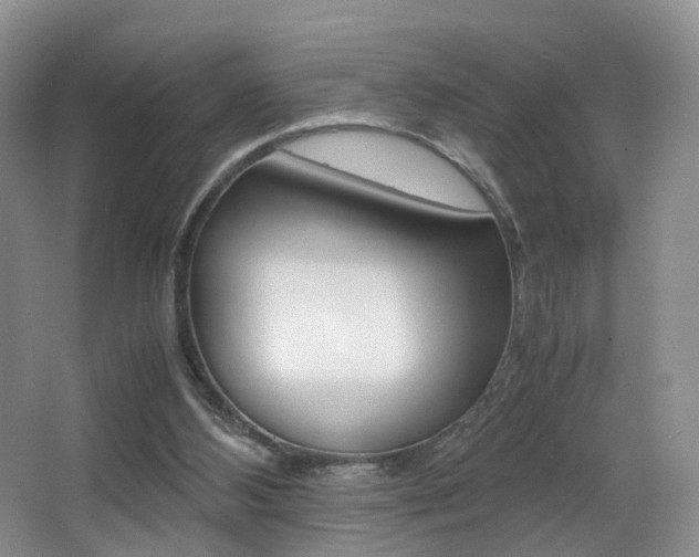 X0000066980108200603241055