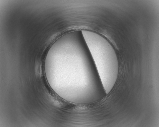 X0000066980110200603241055