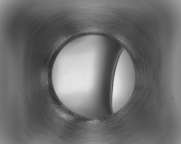 X0000066980112200603241055