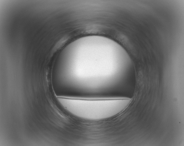 X0000066980116200603241055