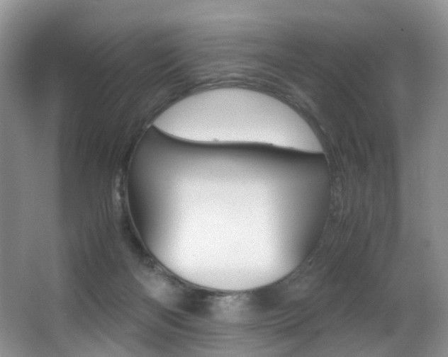 X0000066980122200603241055