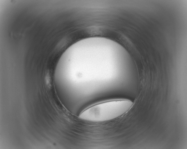 X0000066980124200603241055