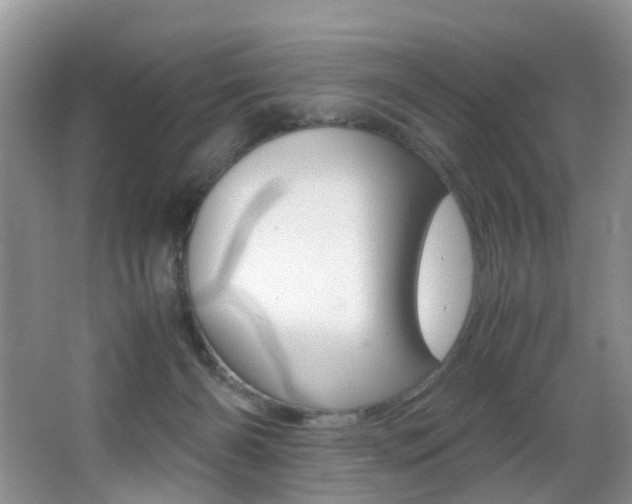 X0000066980126200603241055