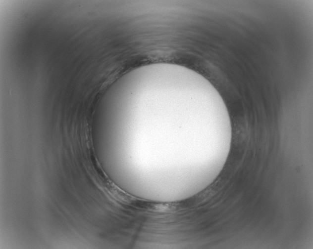 X0000066980130200603241055