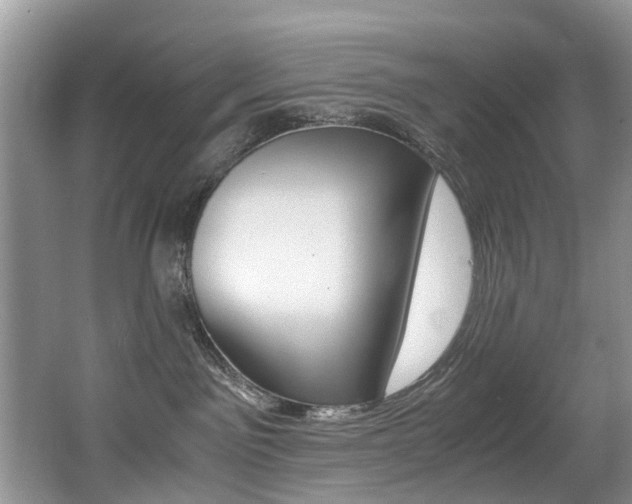 X0000066980141200603241055