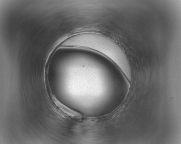 X0000066980148200603241054