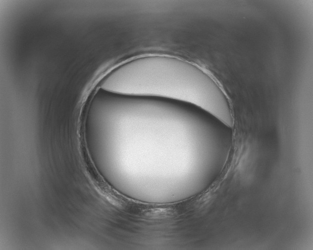 X0000066980151200603241054