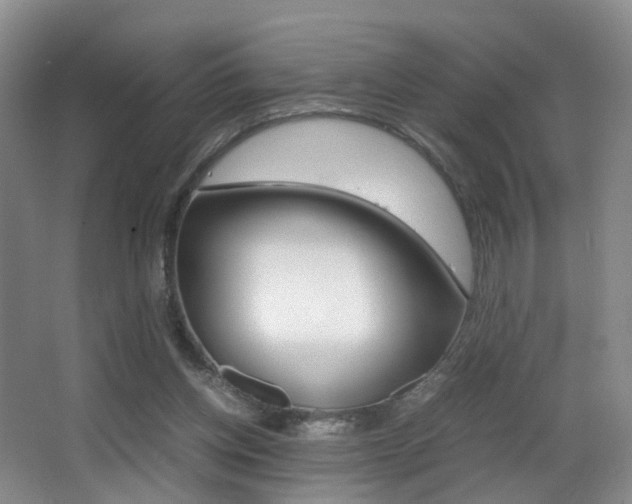 X0000066980158200603241054