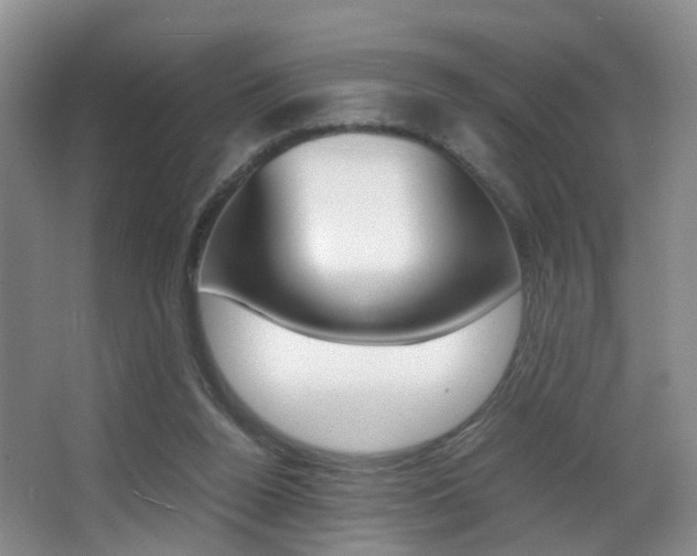 X0000066980160200603241054