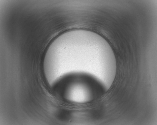 X0000066980164200603241054