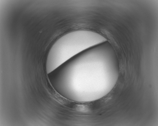 X0000066980167200603241054