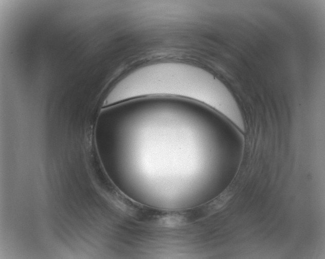X0000066980168200603241054
