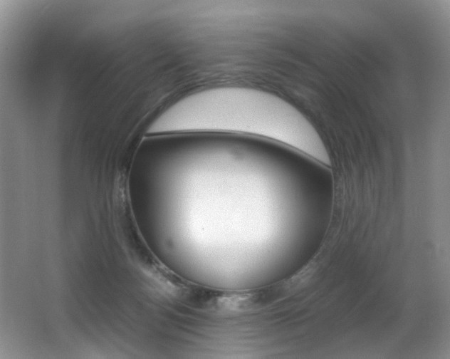 X0000066980172200603241054