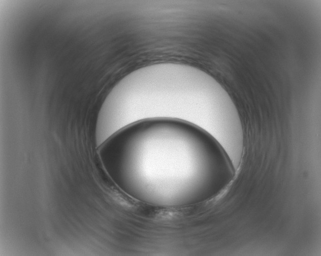 X0000066980174200603241054