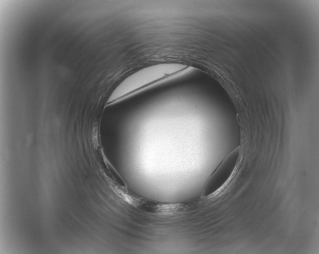 X0000066980192200603241055