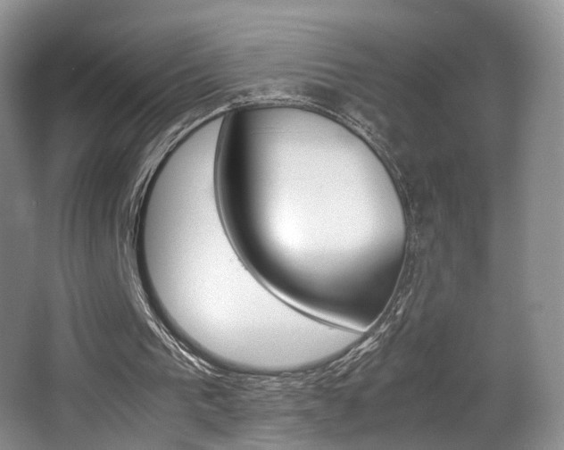X0000066980193200603241054