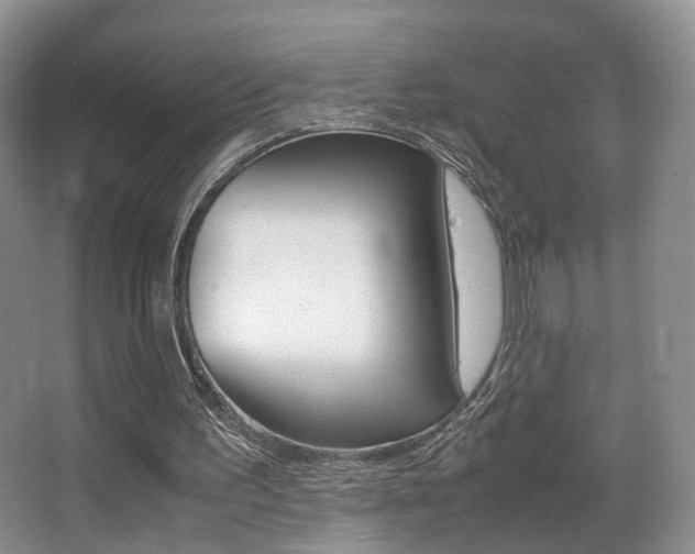 X0000066980195200603241054