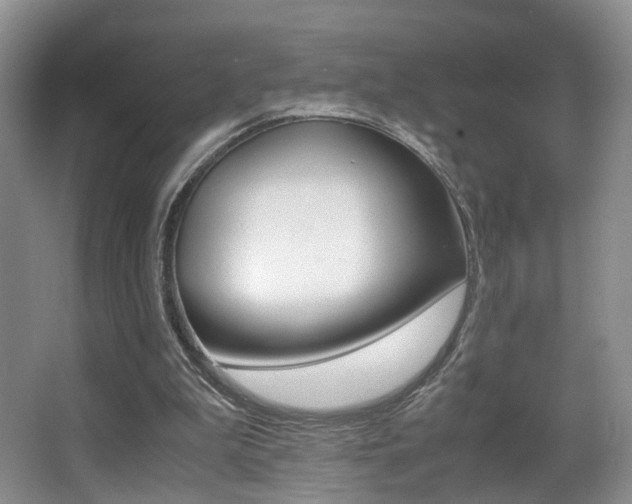 X0000066980199200603241054