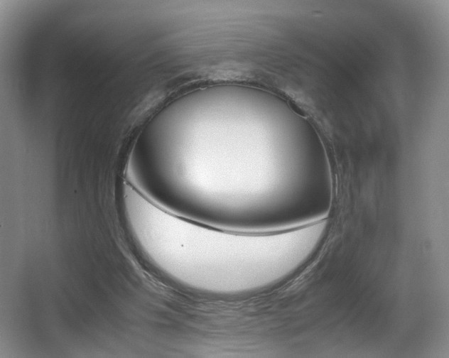 X0000066980201200603241054