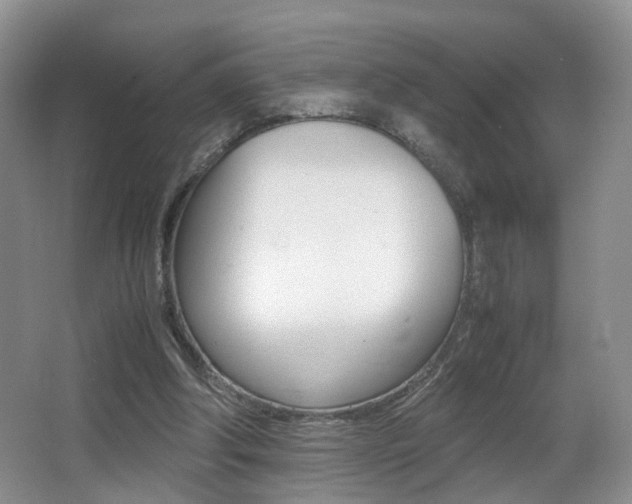 X0000066980202200603241054