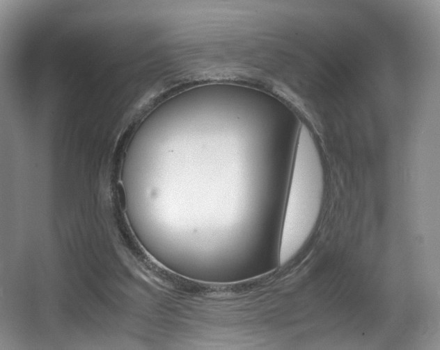 X0000066980203200603241054