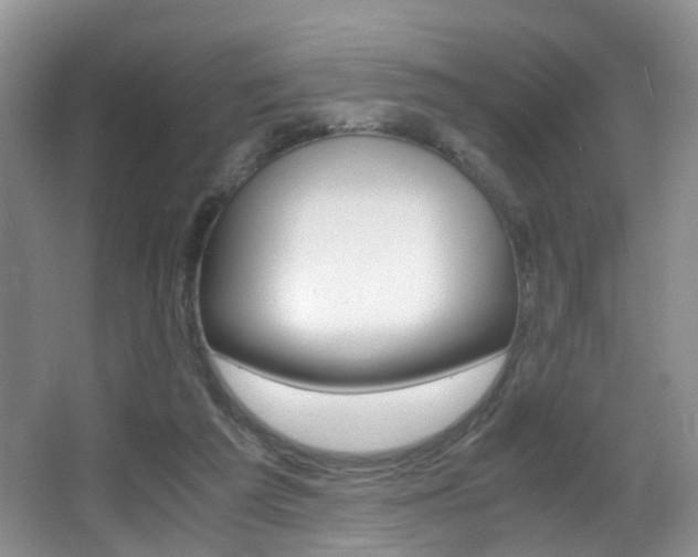 X0000066980209200603241054