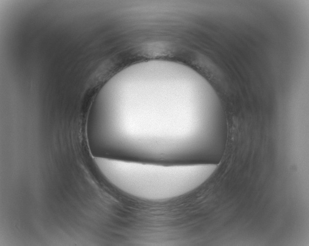X0000066980210200603241054