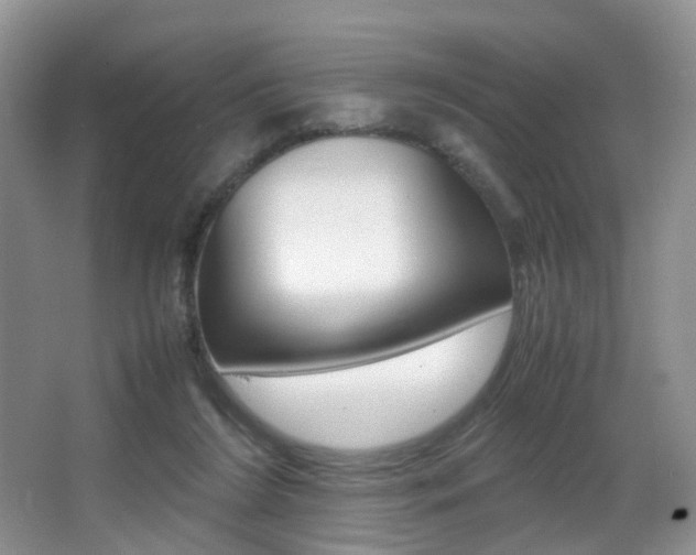 X0000066980212200603241054