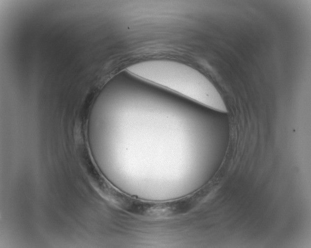 X0000066980213200603241054