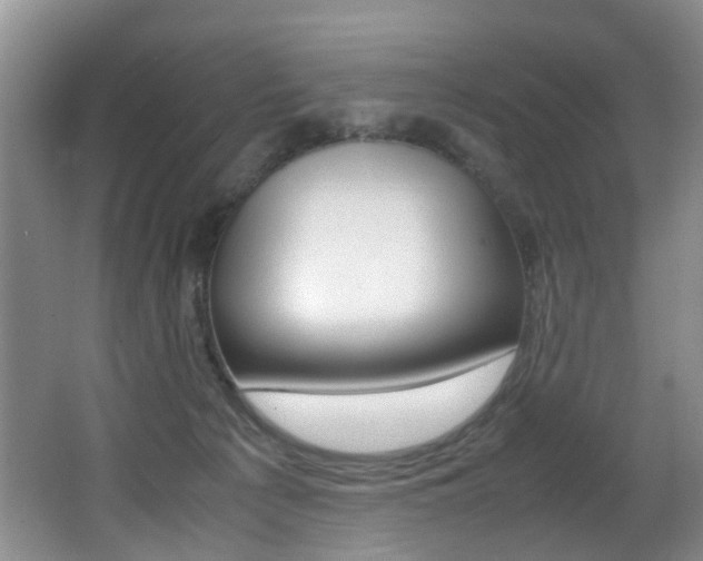X0000066980225200603241053