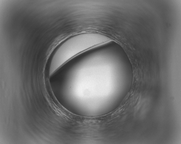X0000066980242200603241052