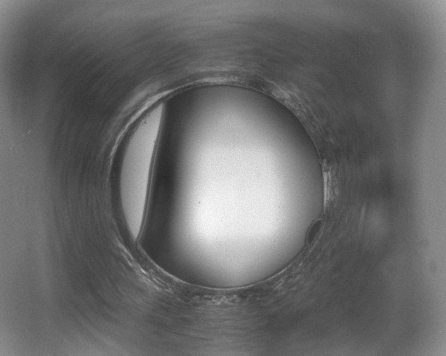 X0000066980243200603241052