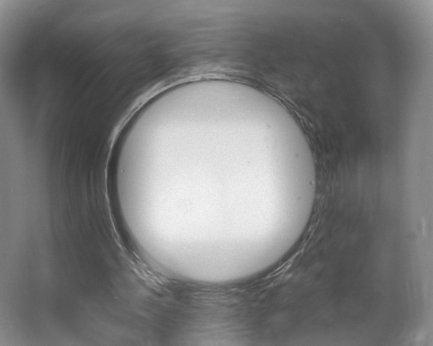 X0000066980244200603241052