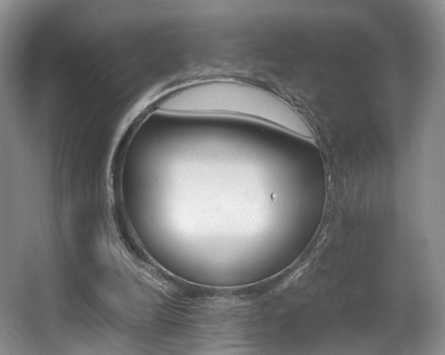 X0000066980246200603241052
