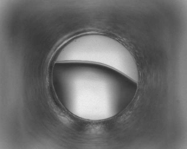 X0000066980247200603241052