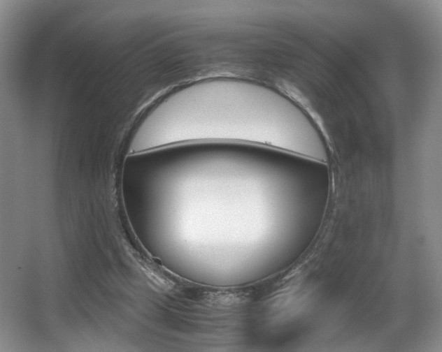 X0000066980249200603241052