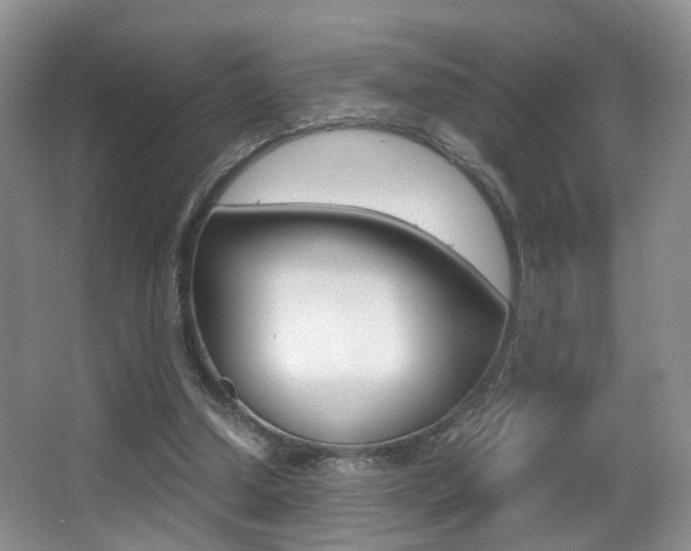 X0000066980250200603241053
