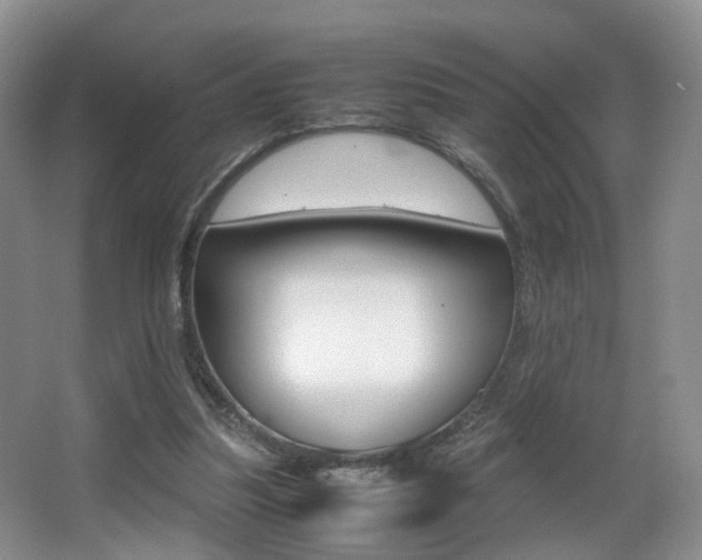X0000066980251200603241053