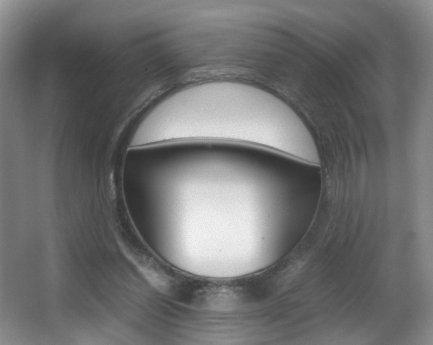 X0000066980254200603241053