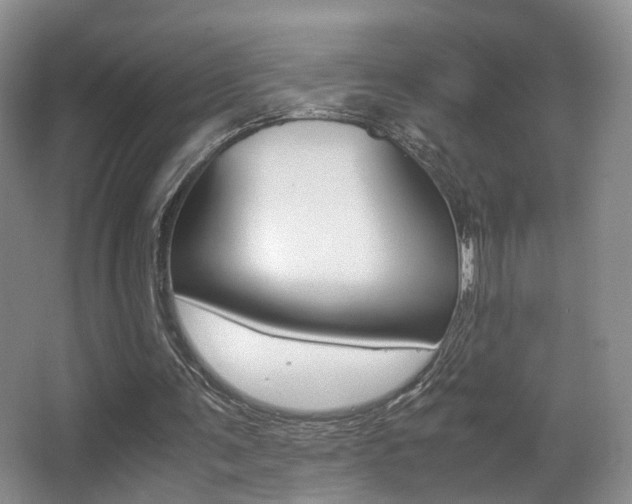 X0000066980291200603241052