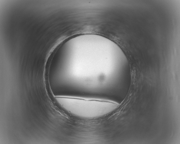 X0000066980292200603241052