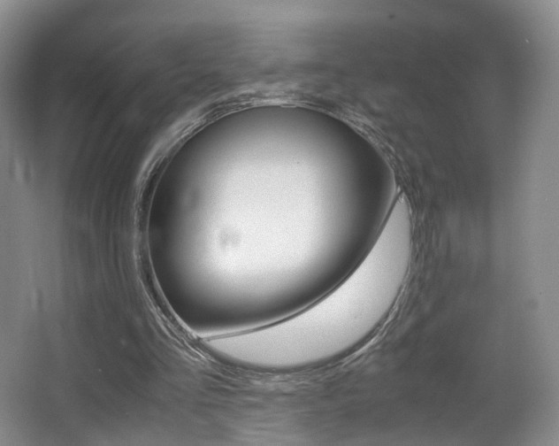 X0000066980293200603241052