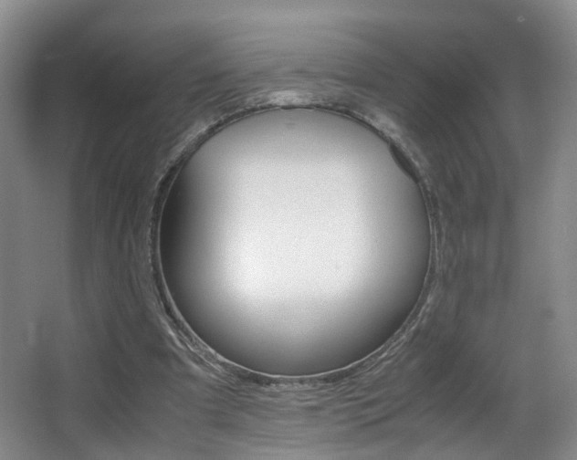 X0000066980297200603241052