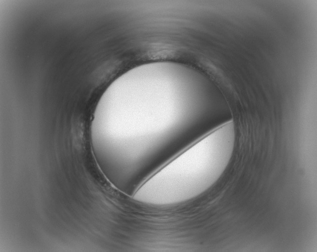 X0000066980308200603241052