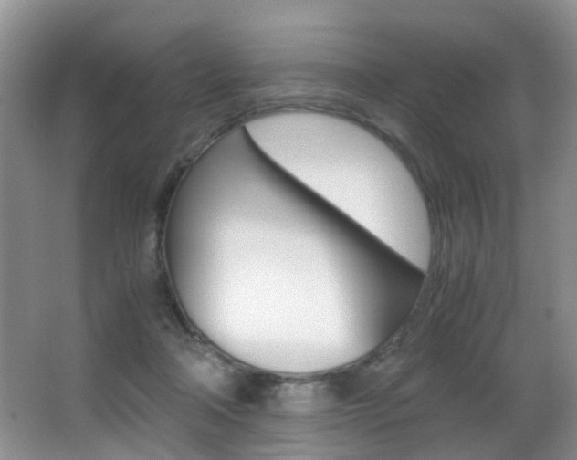 X0000066980314200603241052