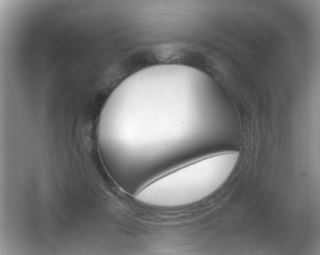 X0000066980319200603241052