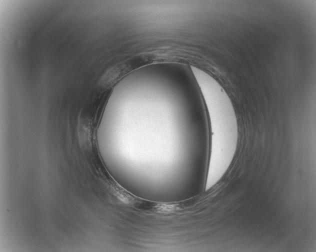 X0000066980333200603241052