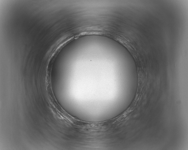 X0000066980338200603241051