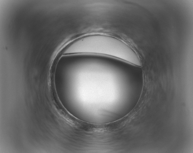 X0000066980344200603241051
