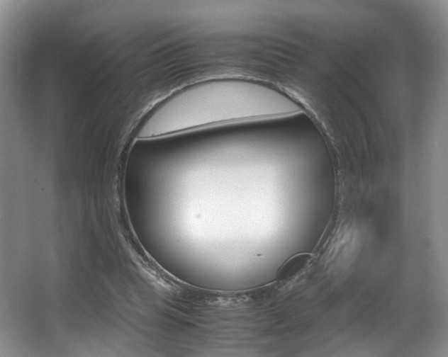 X0000066980345200603241051